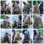 돌문어 할인된 선비로 모셔봅니다.갈치 모집중