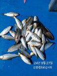 24년 9월27일 산분령유료낚시터 조황사진