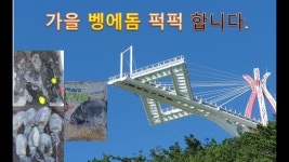 미조 벵순이 퍽퍽 하네요