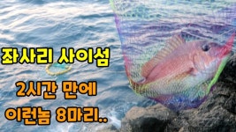 참돔에빠진 친구와 좌사리 명포인트 사이섬 !! 흘리고왔습니다 ㅎㅎ