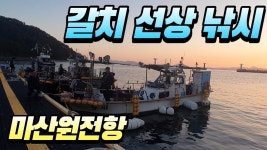마산원전항 갈치선상낚시