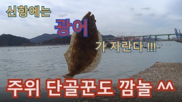 생활낚시 - 20200923 녹산공단 갯가에도 광어가 자라더라