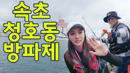 속초 청호동 방파제 낚시
