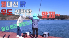 생활낚시 - 20201120 우도선착장 학공치 짬낚시