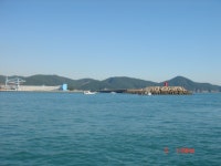 삼천포 주꾸미 (선상)