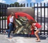 3.000원으로 뭘할까?