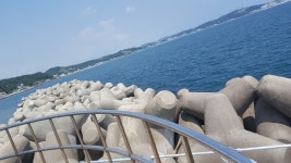 일광문중다녀왔습니다.