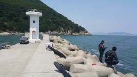 세바지 생명체 없네요