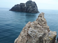 추자도 조황 입니다