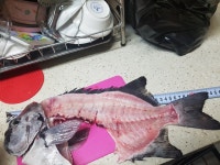 제주 방파제 낚시