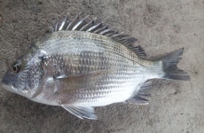 진해에도 감시가 붙었습니다~