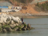 신지도 본도권 1