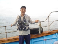 가덕 좌대, 오늘의 조황은???