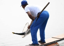 송악ic바다낚시터 미터급 부시리 대량방류..