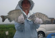 송악ic바다낚시터 감싱이가 잘 낚입니다.