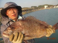 프로5월13일조황 올립니다