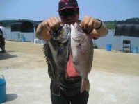 프로8/2일 그림올립니다.