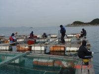 탄항좌대 씨알크고 양많고 .....??