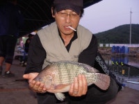 김포낚시터 역돔이 잘나옵니다. 6월 19일(화) 조황(★★★★☆)