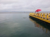 거금도(신촌)해양낚시공원