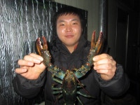 하우스(바다낚시터) 12월 24일 월요일 조황(★★★★☆)