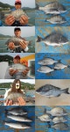 삼천포산분령유료낚시터 6월28일조황