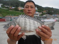 삼천포산분령유료낚시터 7월23일조황