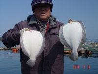 탄항 좌대 싱싱한 봄도다리 조황입니다