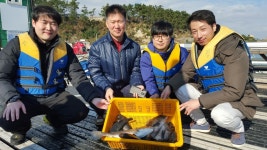 송정낚시터 조황 소식입니다