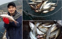 힐링호 좌대낚시 전갱이 꽃이 피었습니다.