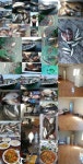 [통영OK해상좌대][참돔,전갱이]-[주,주말]조황입니다