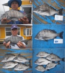 [산분령] 6월 12일 조황~!