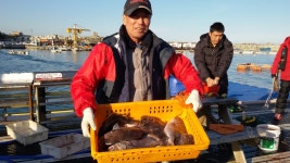 간절곶 송정 낚시체험장 조황 소식입니다