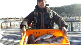 간절곶송정 낚시체험장 조황소식입니다