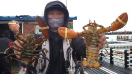 송정낚시터 랍스타/ 감성돔 조황 소식입니다