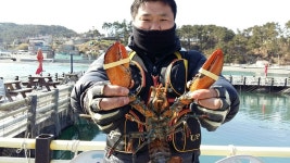 간절곶송정낚시터 감성돔ᆞ랍스타 조황소식입니다