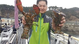 송정낚시터 랍스타.감성돔 조황 소식입니다