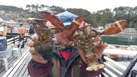 송정낚시터 어린이날 조황 소식입니다