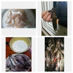 거제화도해상펜션 감성돔,볼락,호래기 조황^^