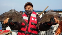 송정낚시터 저수온 손맛 조황입니다
