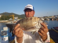 삼천포산분령유료낚시터 조황