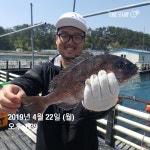 송정낚시터 조황 소식입니다