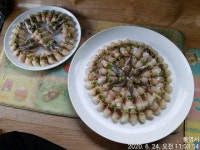 저도와 송도좌대~슈퍼전갱이조황~^^