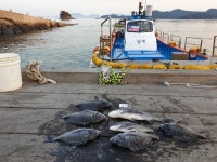 하동대치해양낚시공원