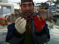 왕뽈락과 벵에돔