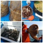 삼천포수성호~^^뽈락.쭈꾸미.감성돔