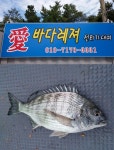 애 바다레져 친구 애 바다레져 친구