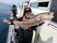 왕대구 현재상황