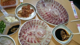 양지암 감성돔조황
