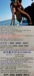 오후 문어낚시 출조 !! - 예약받습니다.^^